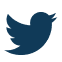 twitter-icon